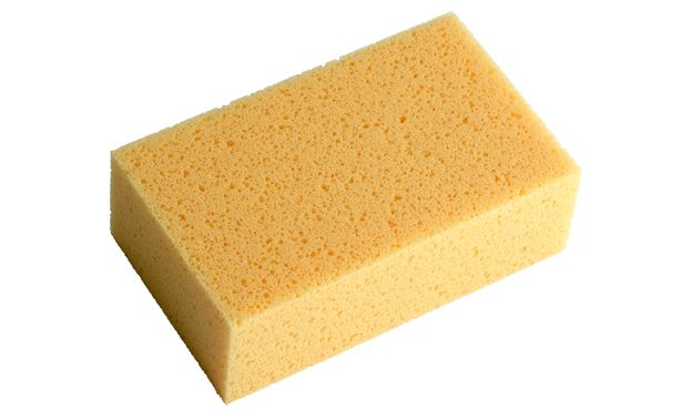 Sponges